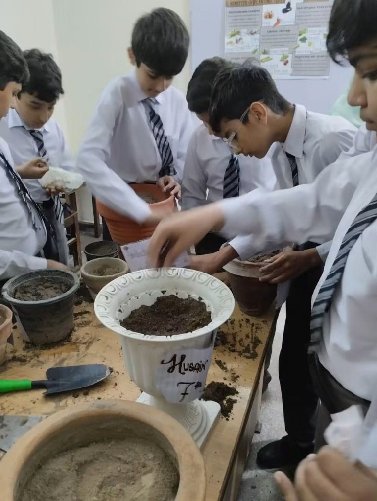 Planting activity